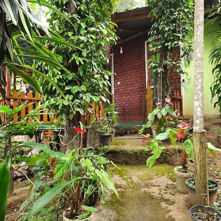Green Heaven Lodge Ella Ngoại thất bức ảnh