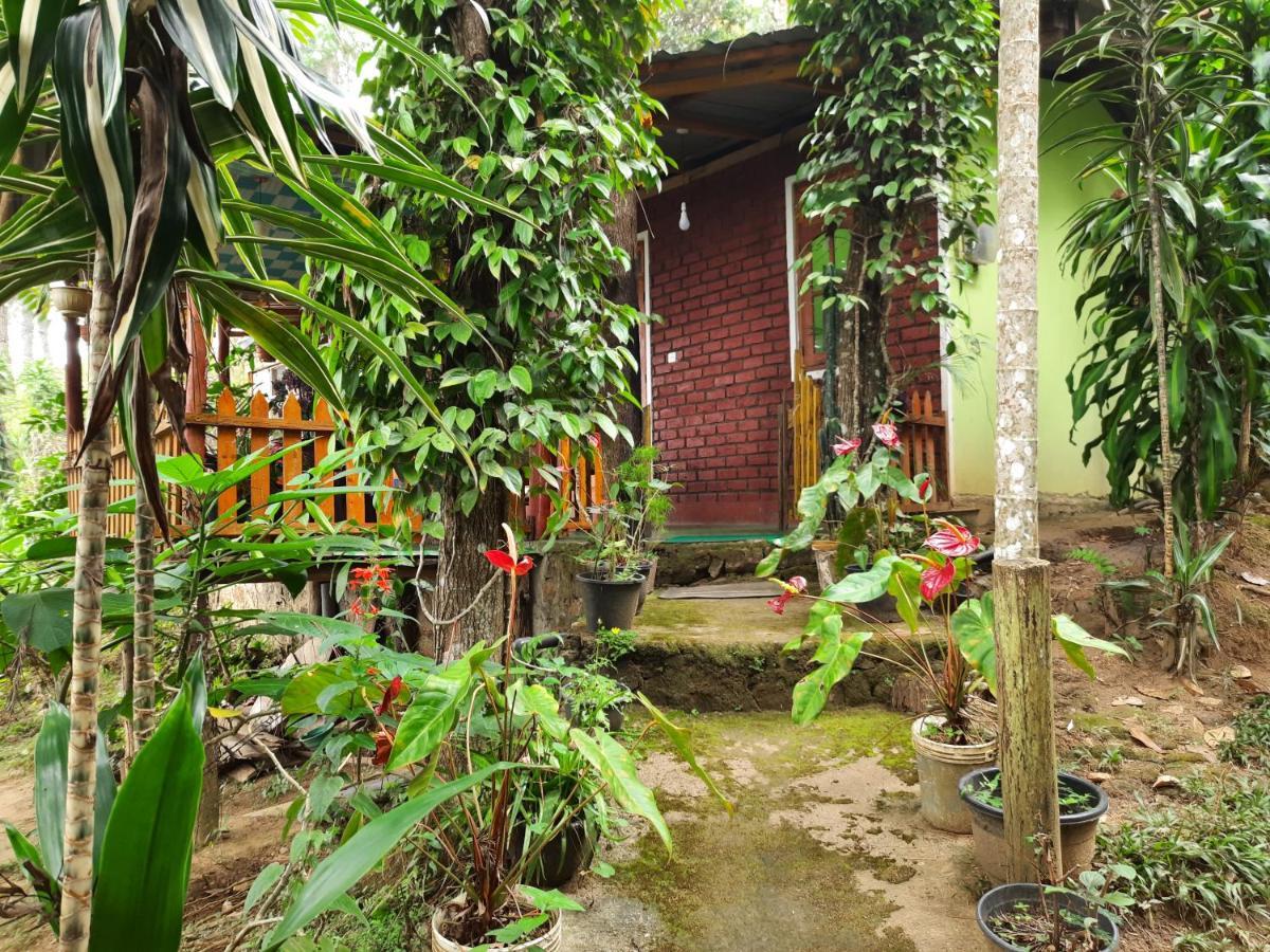 Green Heaven Lodge Ella Ngoại thất bức ảnh