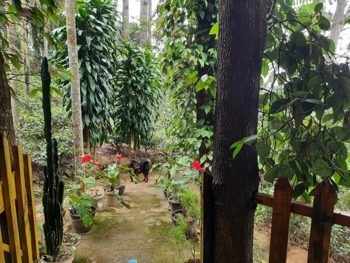 Green Heaven Lodge Ella Ngoại thất bức ảnh