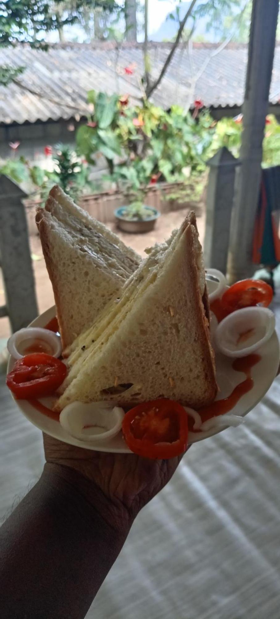 Green Heaven Lodge Ella Ngoại thất bức ảnh