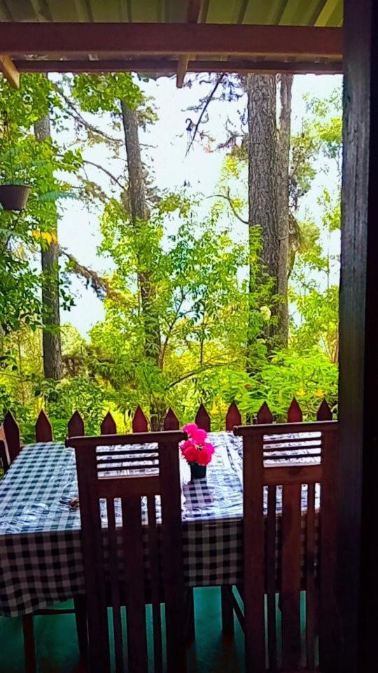 Green Heaven Lodge Ella Ngoại thất bức ảnh