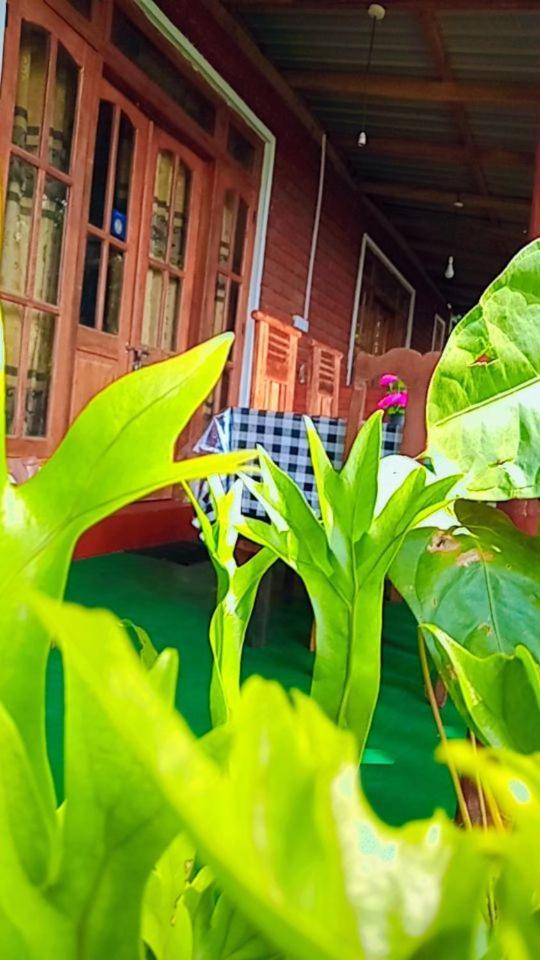 Green Heaven Lodge Ella Ngoại thất bức ảnh