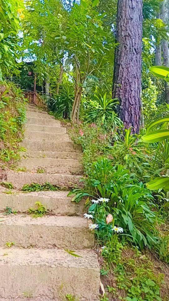 Green Heaven Lodge Ella Ngoại thất bức ảnh