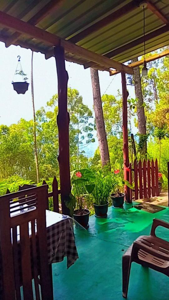 Green Heaven Lodge Ella Ngoại thất bức ảnh