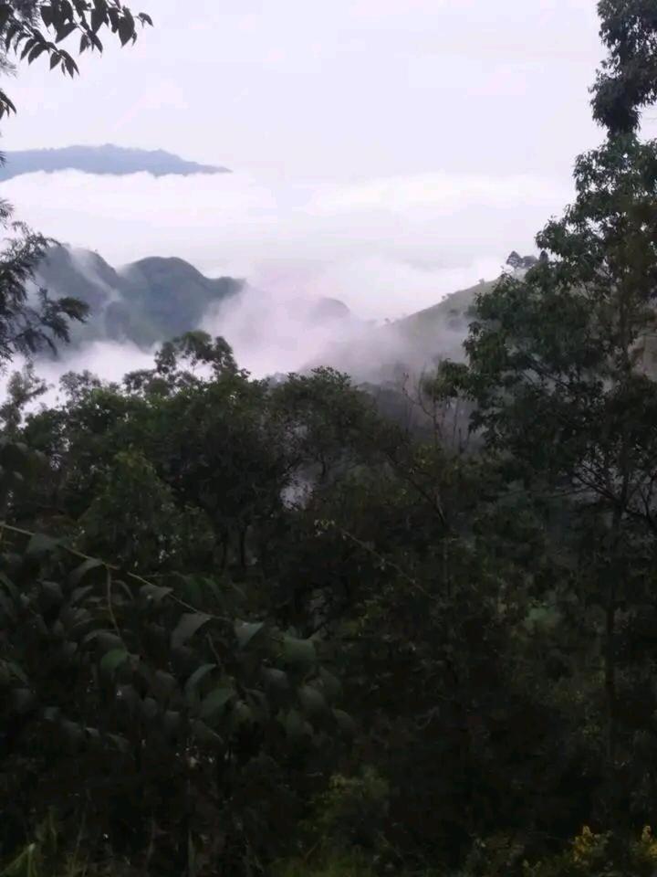 Green Heaven Lodge Ella Ngoại thất bức ảnh
