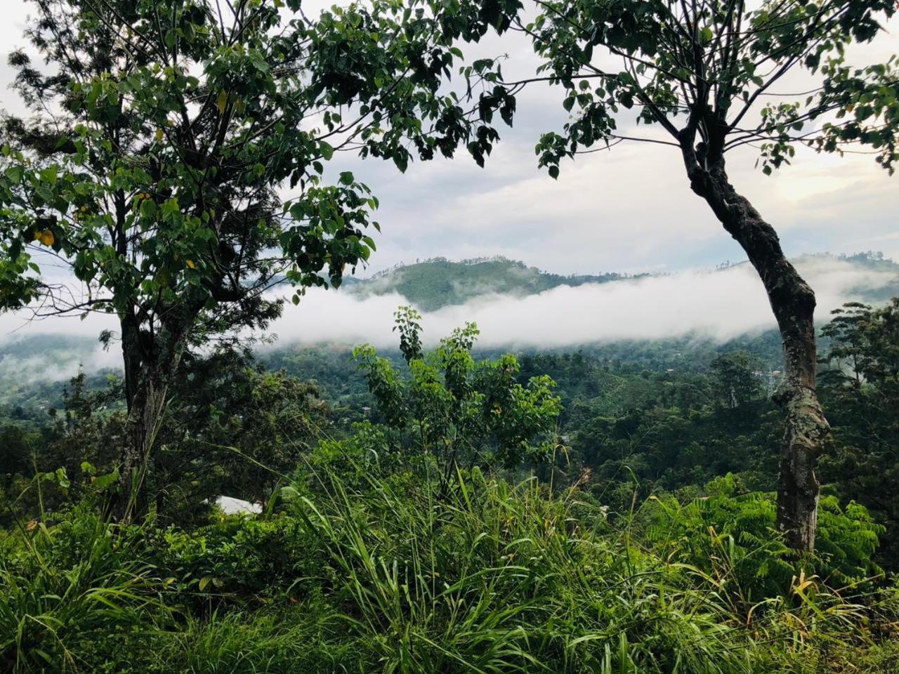 Green Heaven Lodge Ella Ngoại thất bức ảnh
