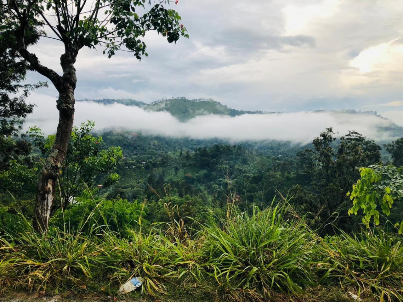 Green Heaven Lodge Ella Ngoại thất bức ảnh